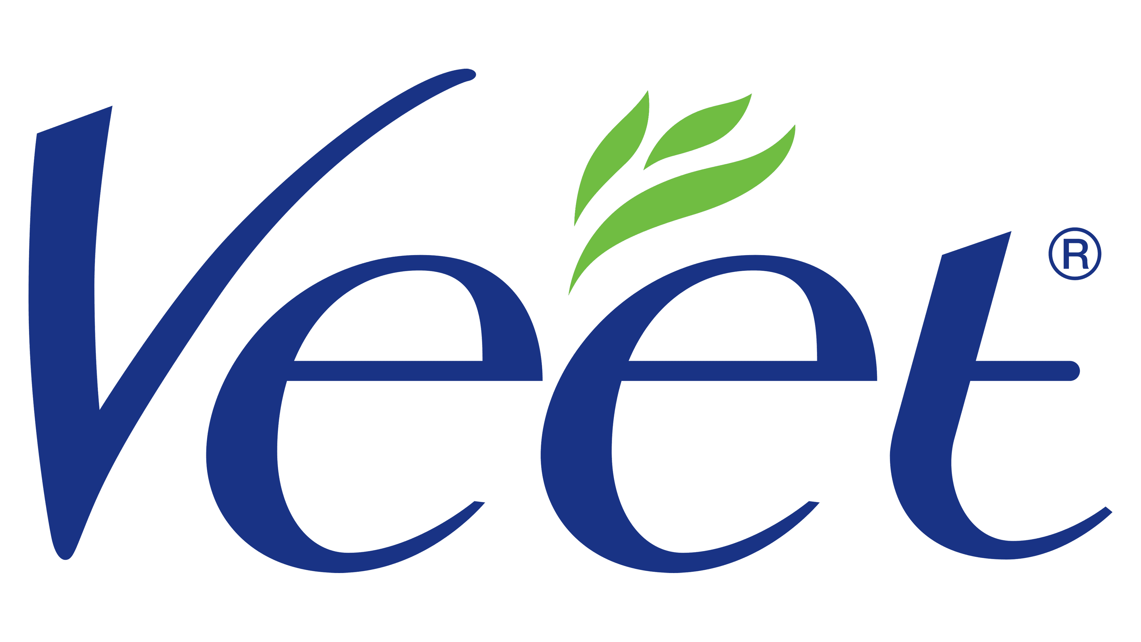 Veet logo with a green leaf above the first "e" in blue lettering.