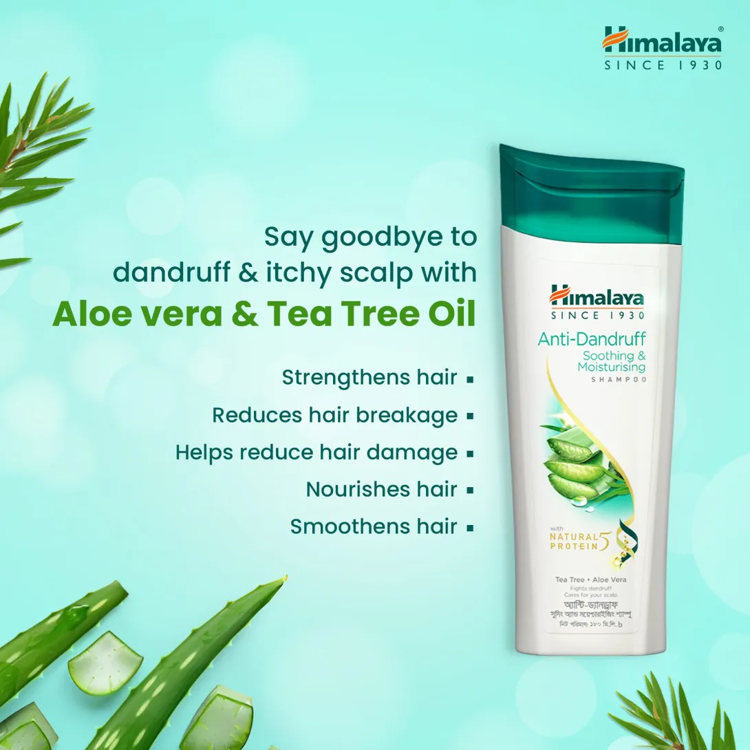 Himalaya anti-dandruff shampoo bottle with aloe vera leaves and green background.