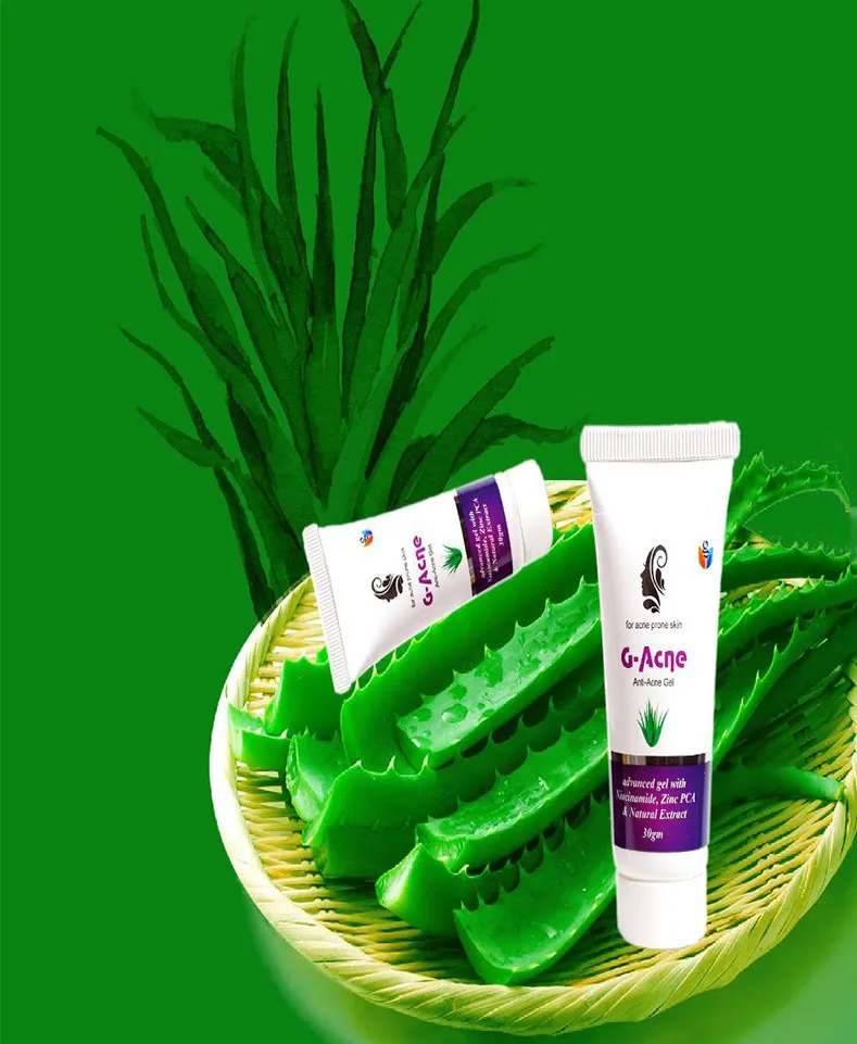 Aloe vera gel tubes on sliced aloe leaves in a basket with a green background.