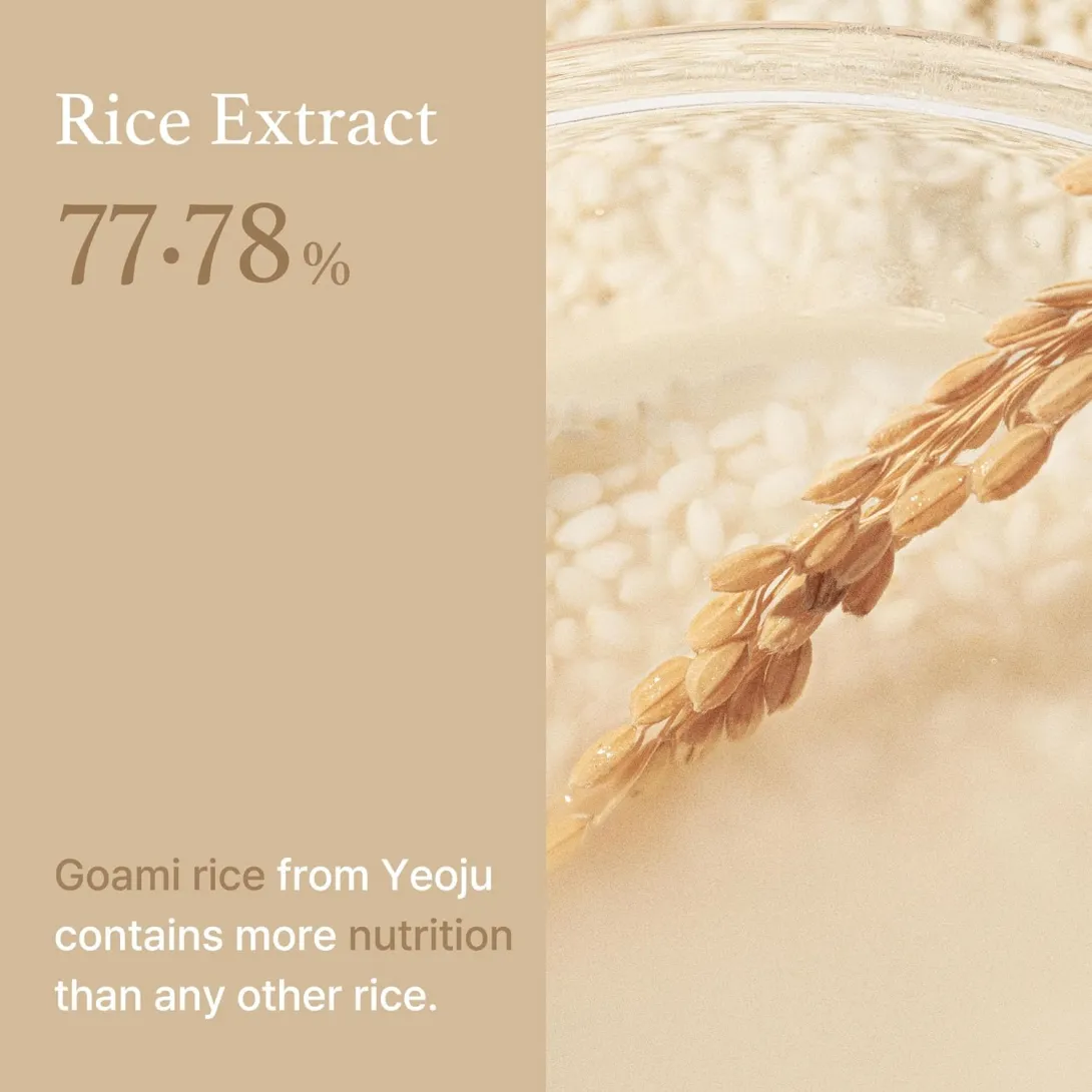 A close-up of rice grains and a rice stalk with a beige background.