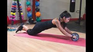 Dual-Wheel Abdominal AB Roller with Knee Mat